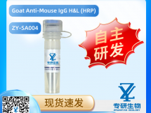 Goat Anti-Mouse IgG H&L (HRP)