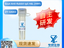 Goat Anti-Rabbit IgG H&L (HRP)