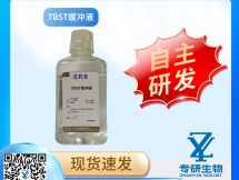 TBST缓冲液
