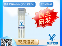 预染蛋白Ladder(10-250kDa)
