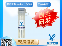 预染蛋白marker 10-180