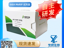 m6A MeRIP 试剂盒
