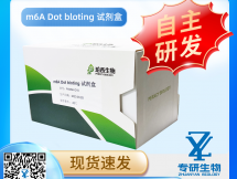 m6A Dot bloting 试剂盒